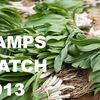 Don't Expect Ramps At The Greenmarket For Another Two Weeks